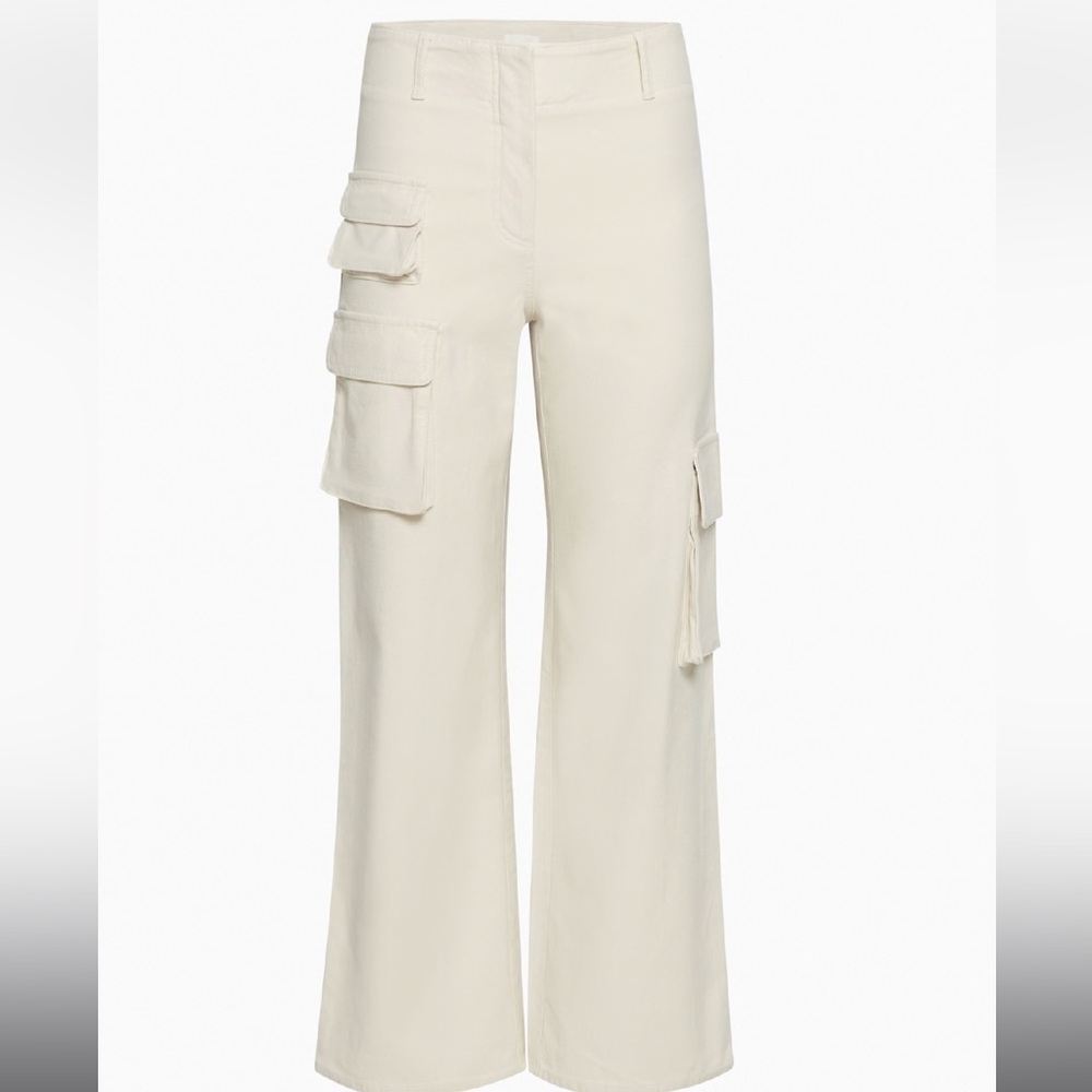 Aritzia Wilfred Free Picture Cargo Pant